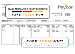 clean sweep pay stub template in Word and PDF format