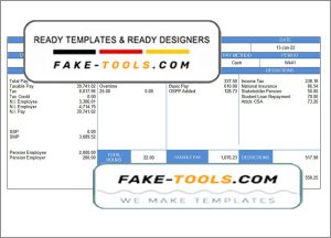 elegant looks pay stub template in Word and PDF format