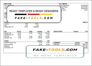 enough good pay stub template in Word and PDF format