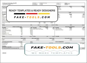fully mind pay stub template in Word and PDF format