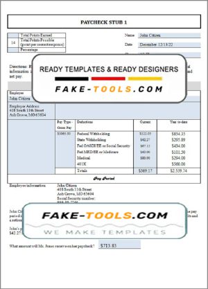 good liker pay stub template in Word and PDF format