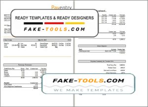 nice likes pay stub template in Word and PDF format