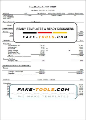 smart router pay stub template in Word and PDF format