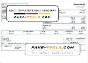 special link pay stub template in Word and PDF format