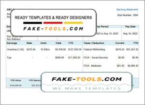 steady form pay stub template in Word and PDF format