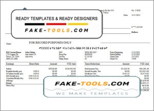 under score pay stub template in Word and PDF format