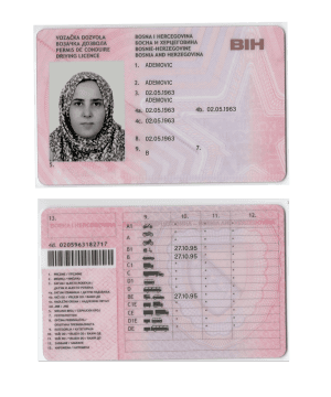 Bosnia and Herzegovina driving license PSD file