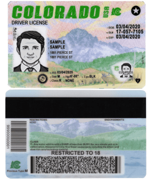 USA Colorado driving license template in PSD format